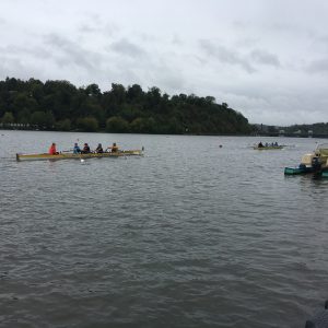 IMG_2351